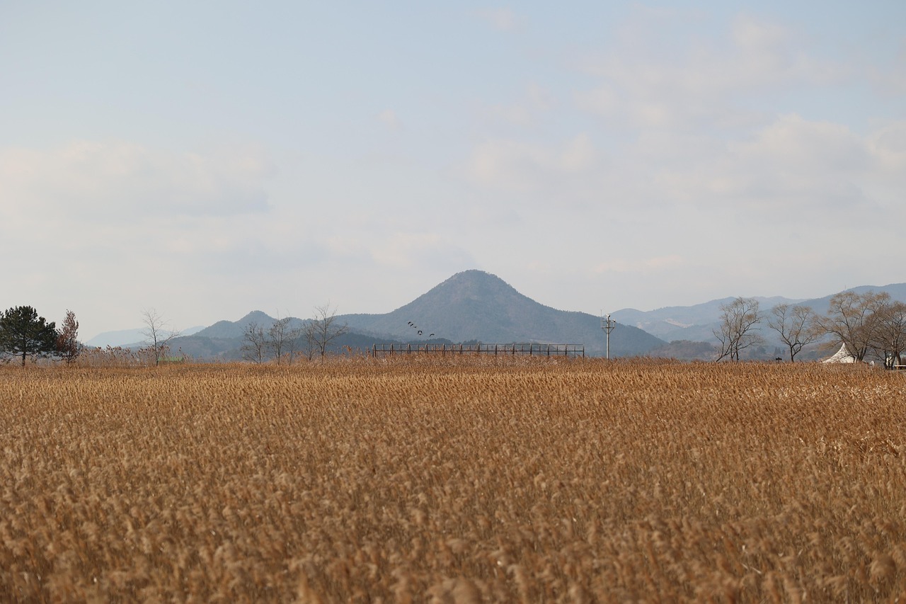 순천만 국가정원 입장권 예매 꿀팁 대공개!