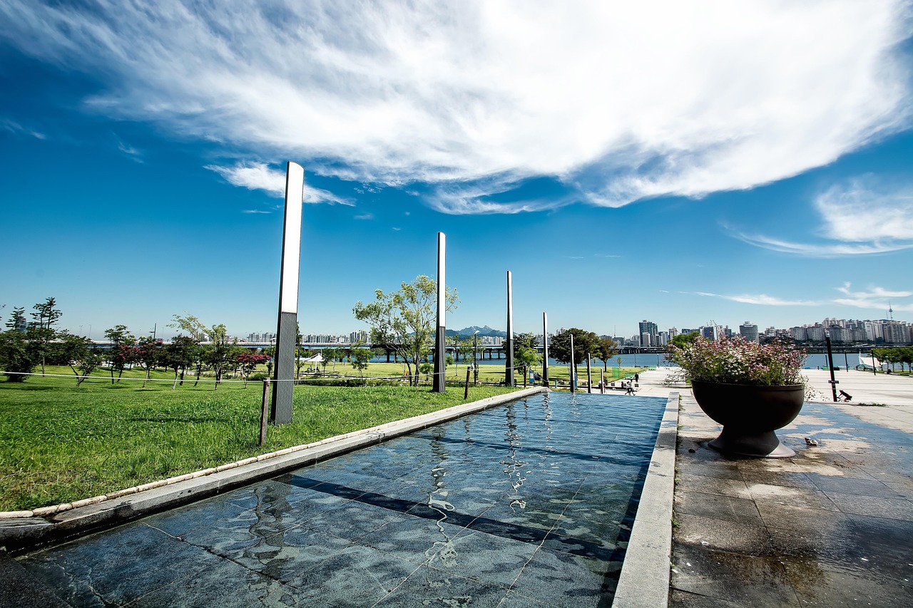 여의도 한강 피크닉 주차장 완벽 가이드와 팁