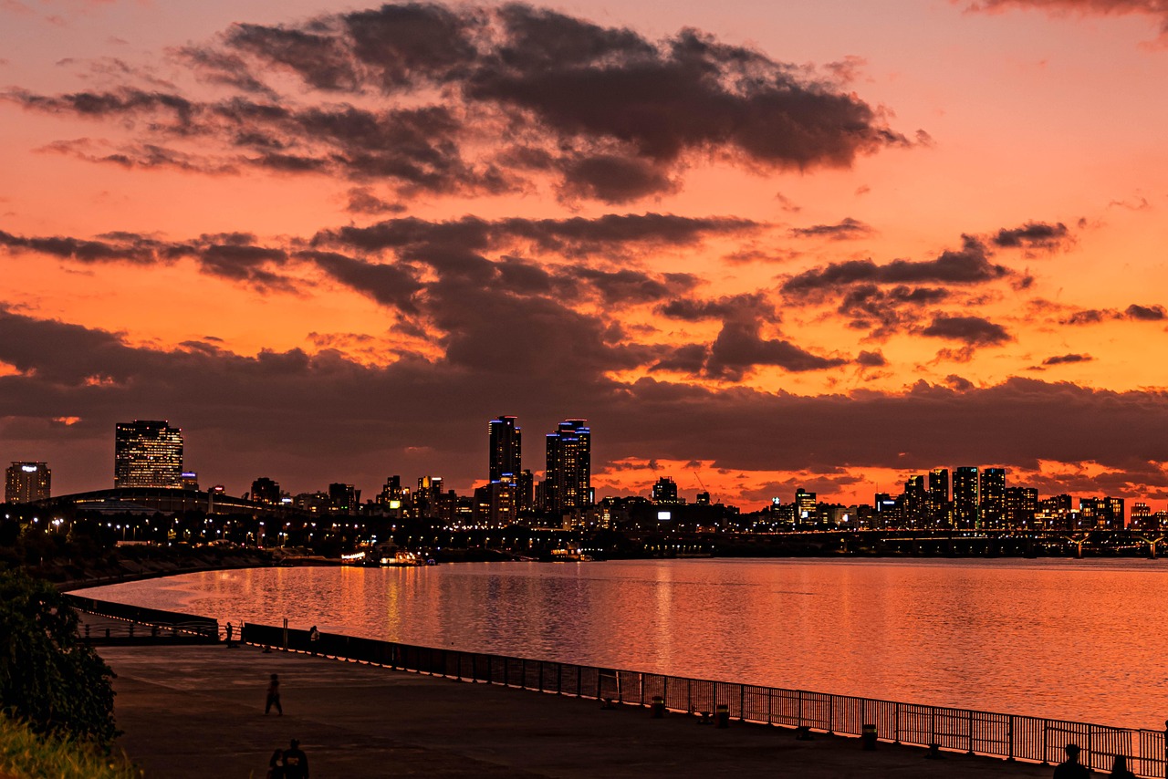 여의도 한강공원 주차비와 알짜 정보 총정리
