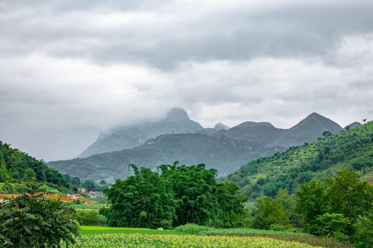 여수 자연 체험으로 만나는 특별한 여행 경험