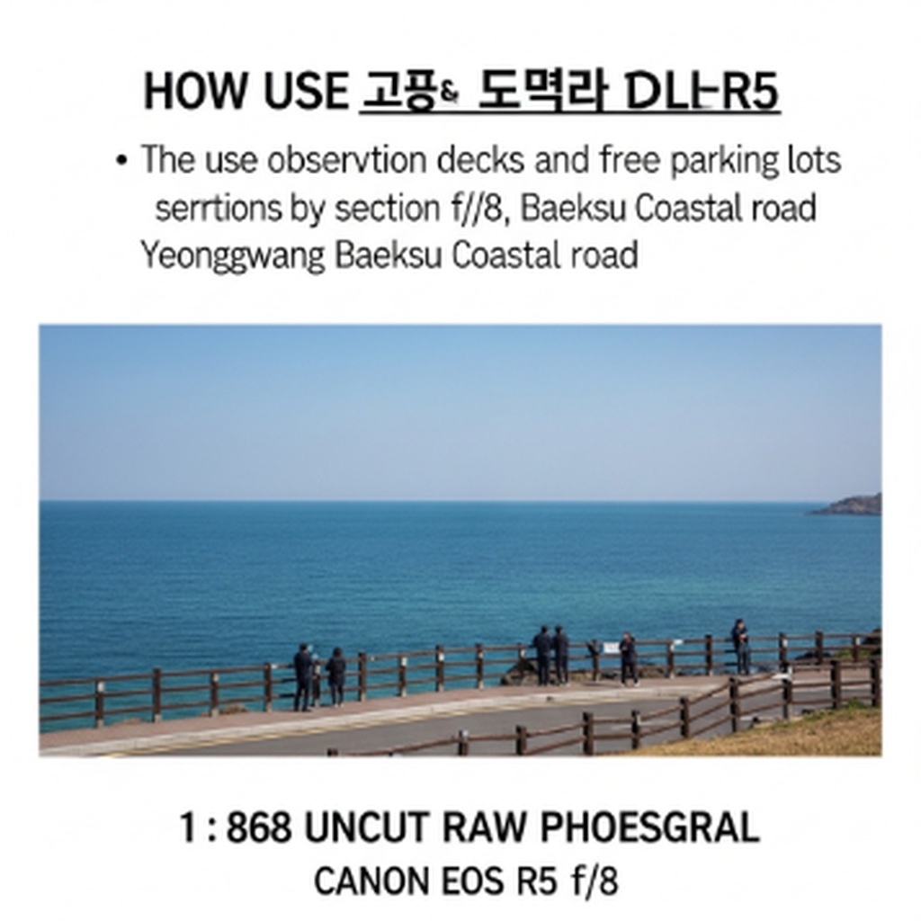 영광 백수해안도로 구간별 전망대와 무료 주차장 이용 방법