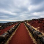 제주 사려니숲길 붉은 화산송이 길 산책 및 포토존 위치