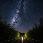 울산 태화강 국가정원 십리대숲 은하수 길과 피크닉 명당 완벽 확인 방법