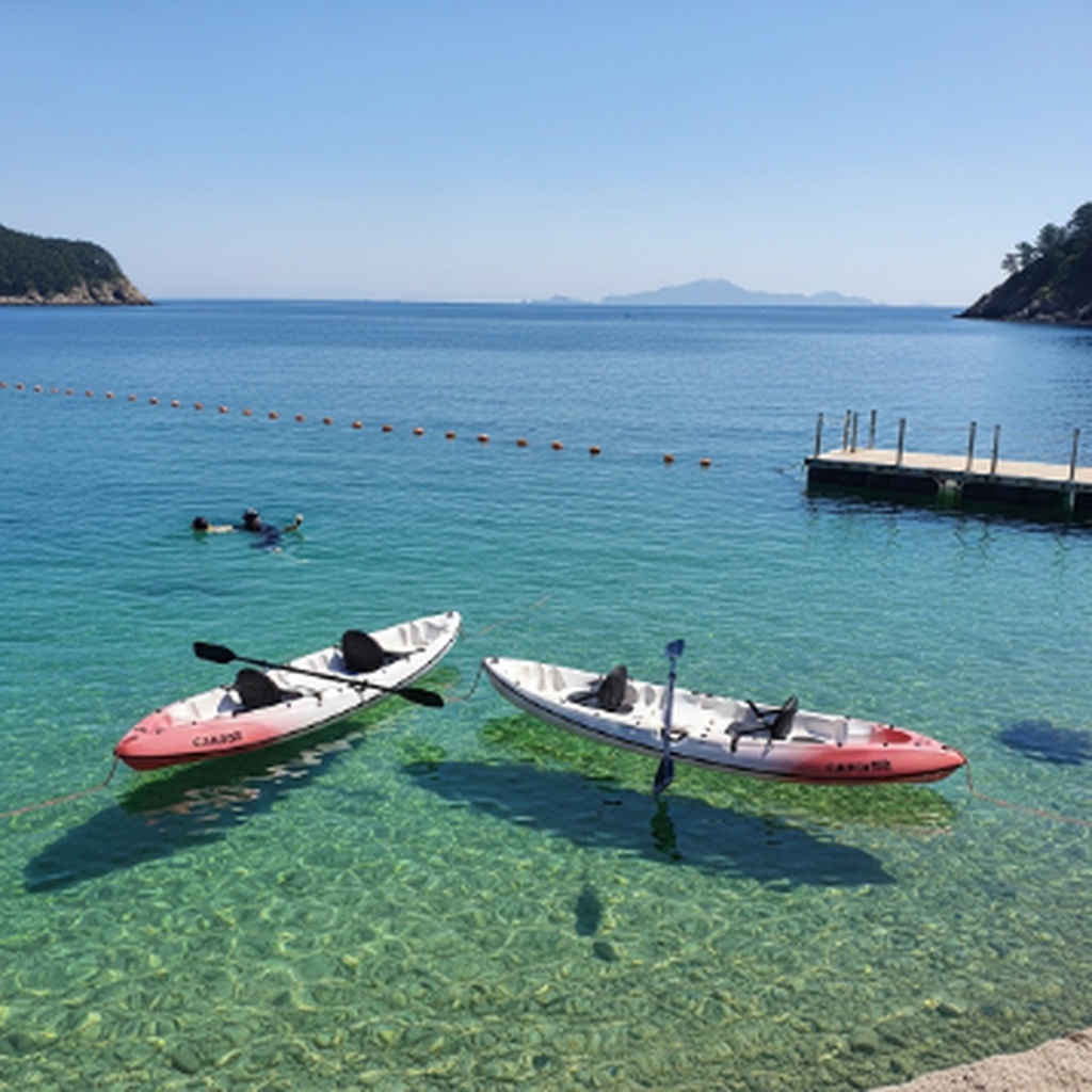삼척 장호항 스노클링 명당 및 투명카약 이용 요금 핵심 방법