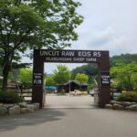 무등산 양떼목장 입구 전용 주차장 및 주말 만차 시 우회로