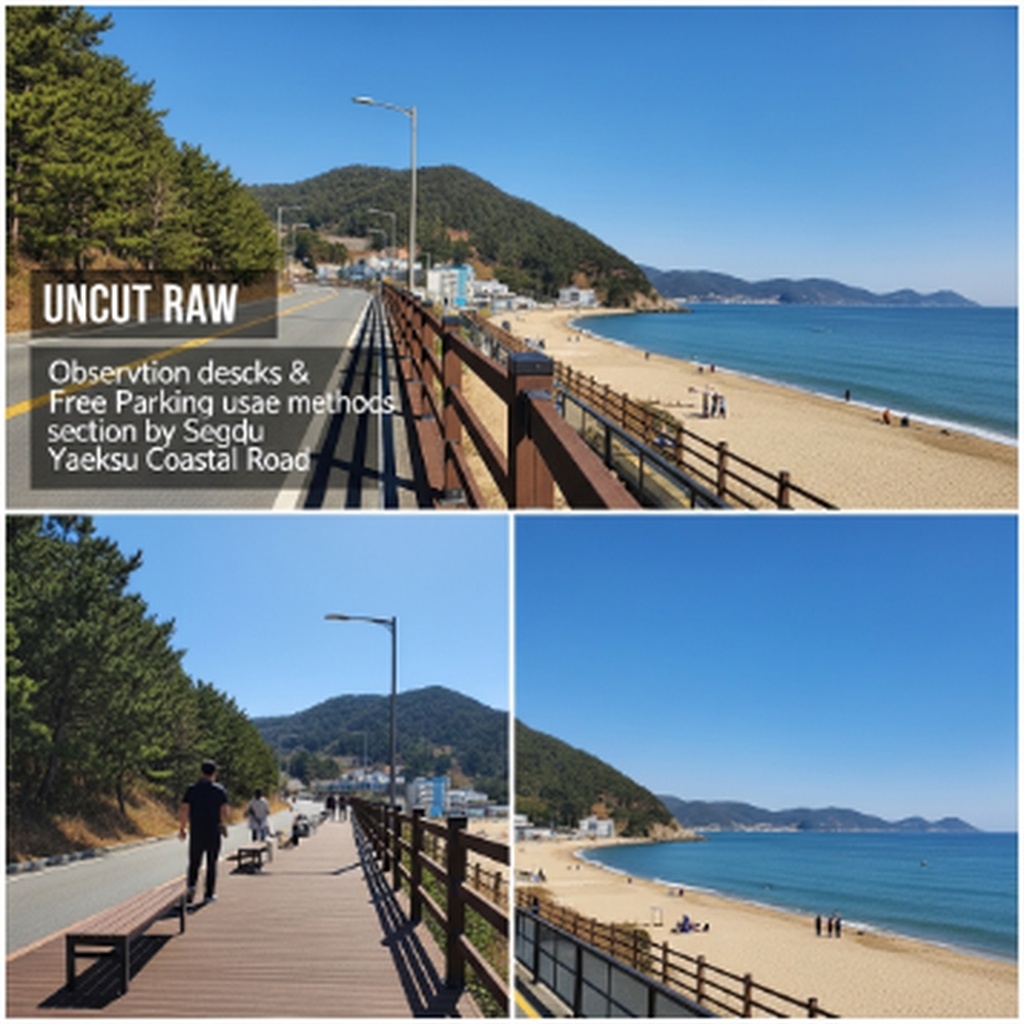 영광 백수해안도로 구간별 전망대와 무료 주차장 이용 방법