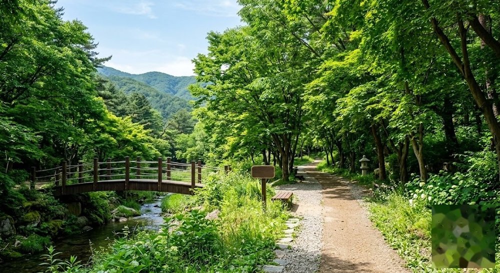 가평 당일치기 코스: 뚜벅이 남이섬 아침고요수목원 버스 비용