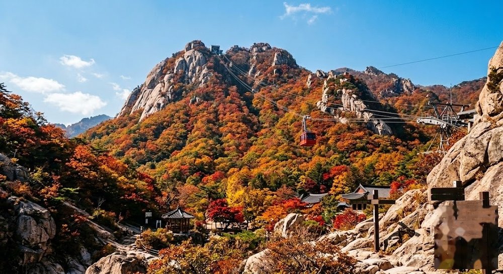 설악산 단풍시기 절정 10월 20일, 케이블카 당일 성공 확률 높이려면?